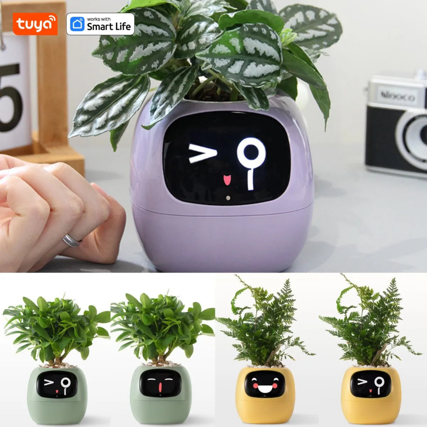 Smarter Blumentopf mit KI – 49+ Emotionen & 7 Sensoren