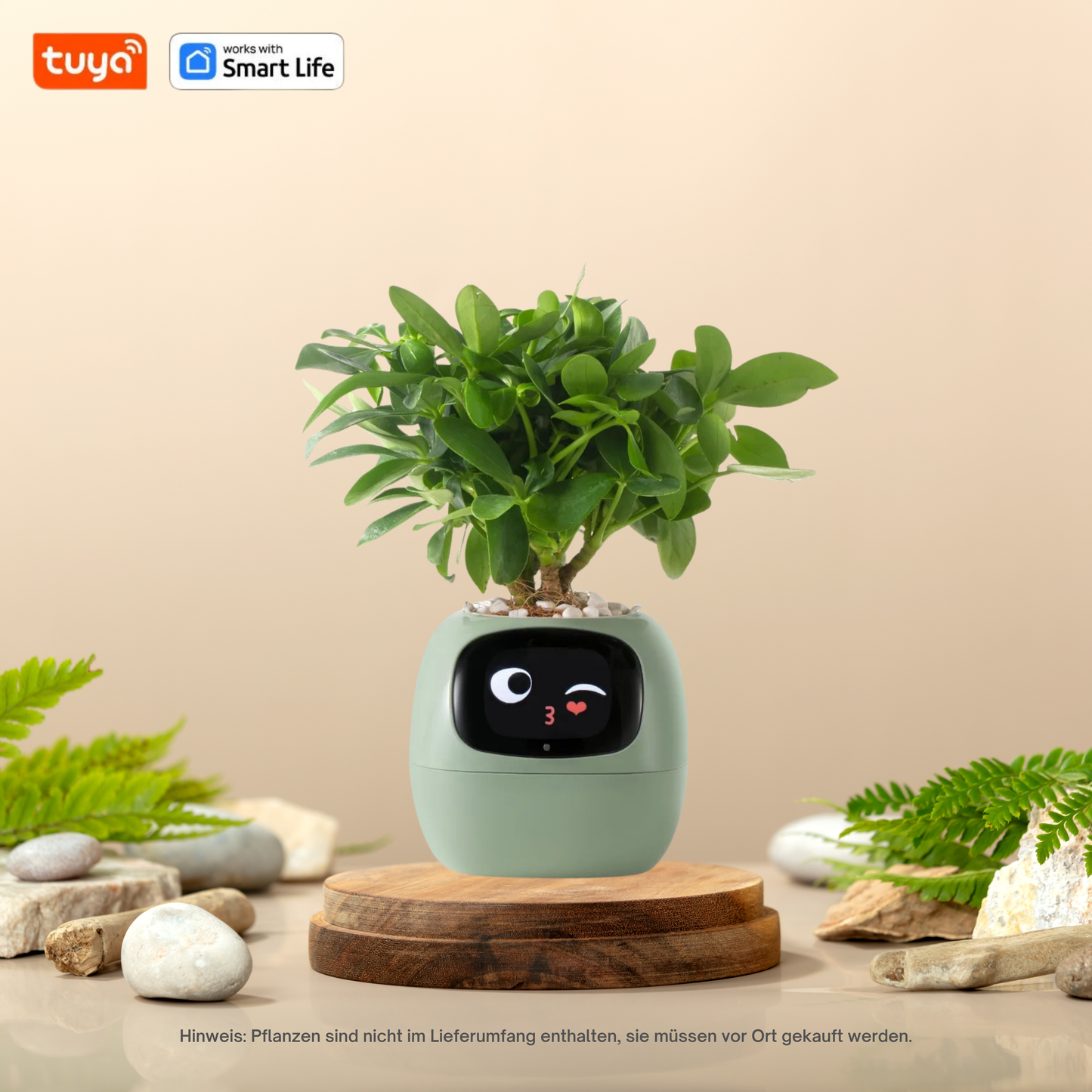 Smarter Blumentopf mit KI – 49+ Emotionen & 7 Sensoren